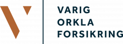 varig logo
